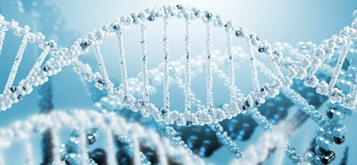 胎停、流产，可能是男性精子DNA碎片出了问题