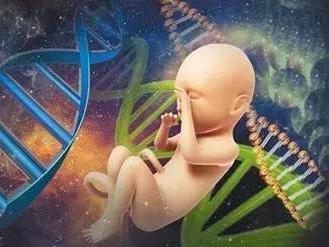 第三代试管婴儿技术PGS/PGD，两者有何异同？