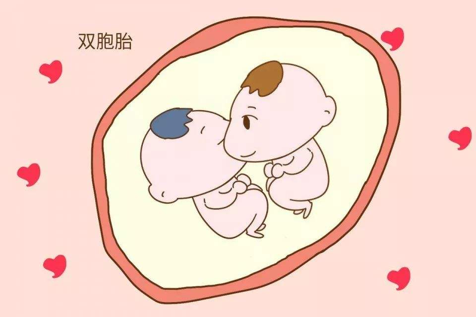 泰国试管婴儿备孕期间如何提高卵子质量？