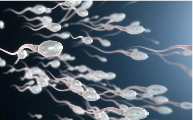 导致男性精子成活率低的4个原因！男性朋友需要注意！