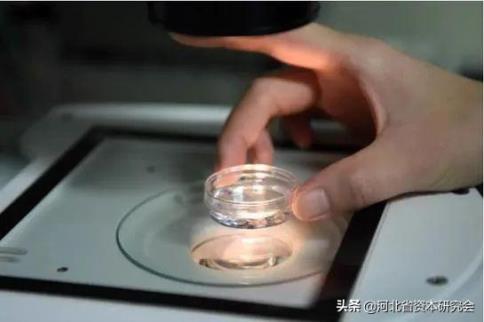 “试管婴儿”费用归入医保，能减缓生育率走低吗？
