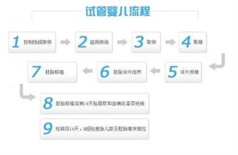 揭密泰国试管婴儿频频移植落败的那些事！