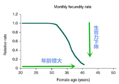 年纪对生育的牵连—高龄与三代试管婴儿