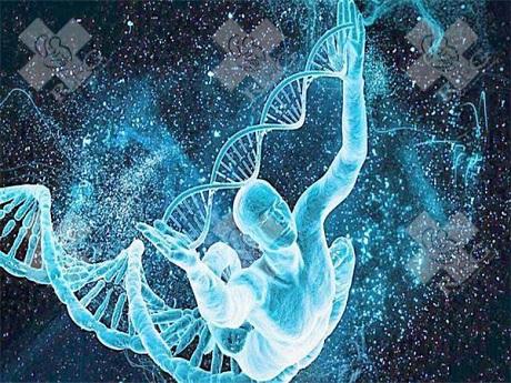无锡做试管婴儿避免出现空卵泡方法介绍，一般是这些原因导致