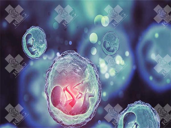 2023菏泽有库吗?提高试管成功率小窍门有哪些?