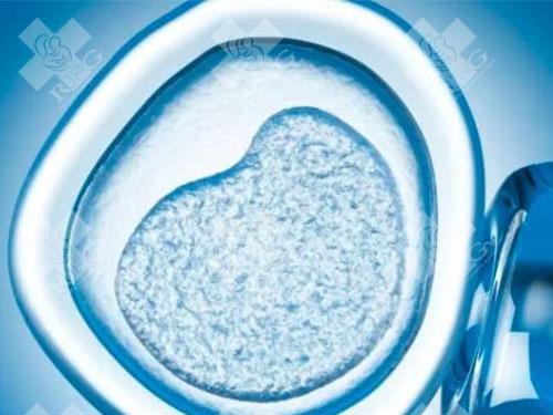 试管婴儿移植囊胚会出现宫外孕吗？如何降低宫外孕的风险？