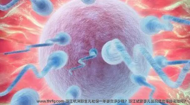 浙江杭州新生儿社保一年要交多少钱？浙江试管婴儿医院成功率排名如何？
