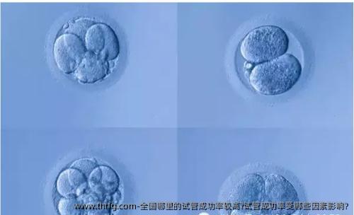 国内哪里的试管成功率较高?试管成功率受哪些因素影响?