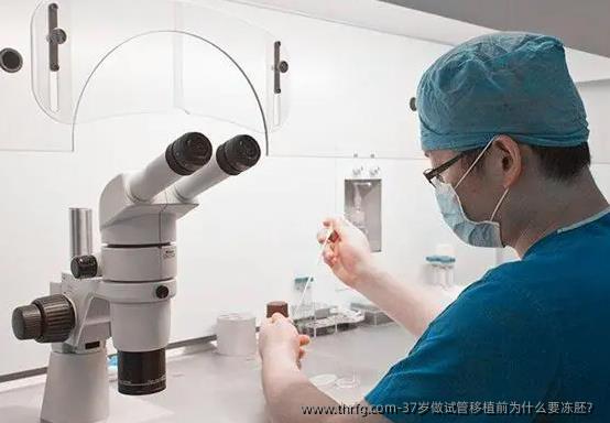 37岁做试管移植前为什么要冻胚？