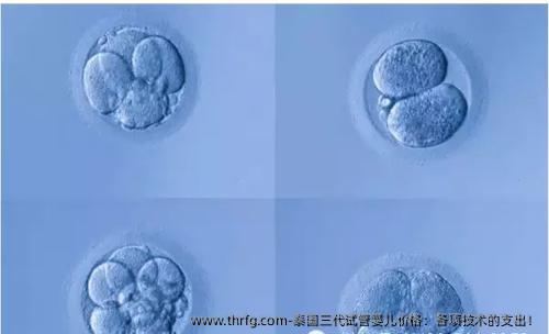 泰国三代试管婴儿价格：各项技术的支出！
