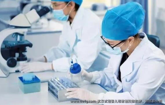 武汉试管婴儿哪家医院做的好，附优势分析