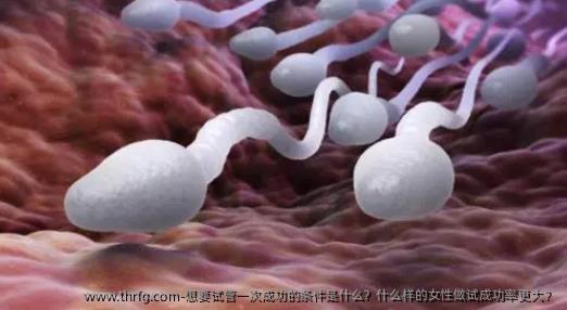 想要试管初次成功的条件是什么？什么样的女性做试成功率更大？