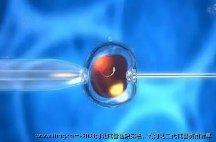2024河北试管医院排名，附河北三代试管费用清单