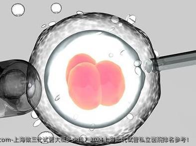 上海做三代试管大概多少钱？2024上海三代试管私立医院排名参考！