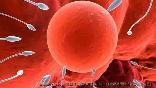 轻微肾炎能做试管婴儿吗（轻微肾炎能做试管婴儿吗男性）