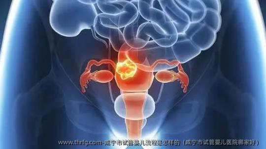 咸宁市试管婴儿流程是怎样的（咸宁市试管婴儿医院哪家好）