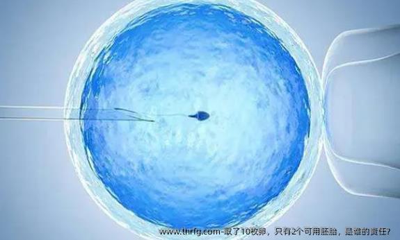 取了10枚卵，只有2个可用胚胎，是谁的责任？