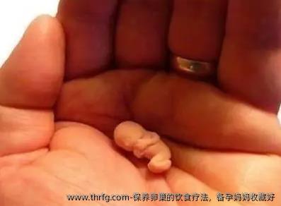 保养卵巢的饮食疗法，备准妈妈妈收藏好