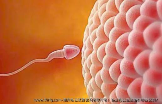湖南私立试管医院名单排名！私立和公立医院有哪些区别？