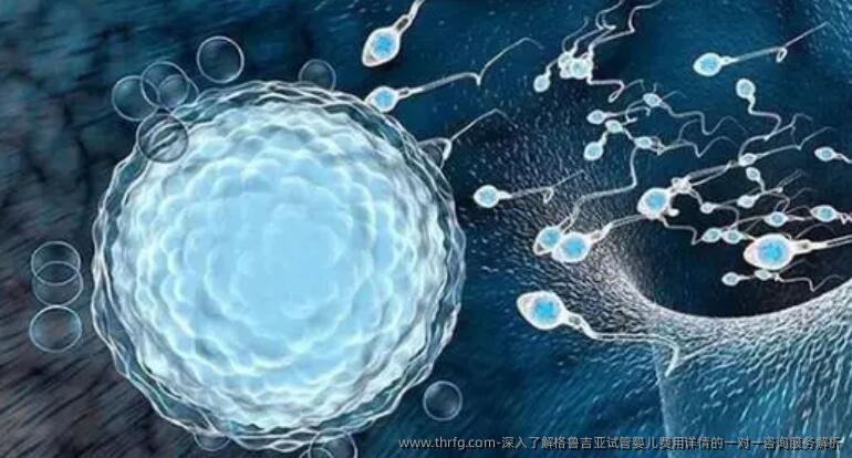深入了解格鲁吉亚试管婴儿费用详情的一对一咨询服务解析