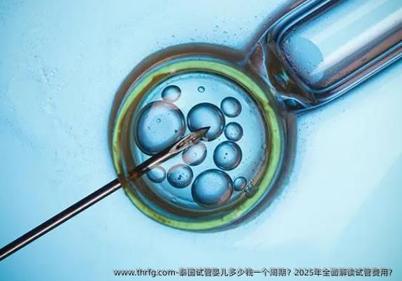 泰国试管婴儿多少钱一个周期？2025年全面解读试管费用？