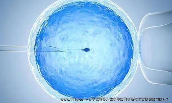 日本试管婴儿成功率如何借新技术实现突破与提升？