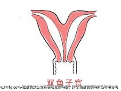 做试管选公立还是私立医院好？附国内试管医院前五排名参考