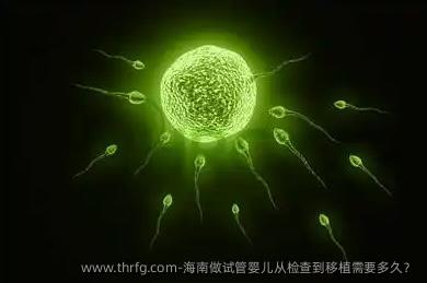 海南做试管婴儿从检查到移植需要多久？