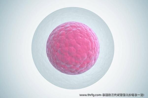 泰国的三代试管婴儿价格表一览！
