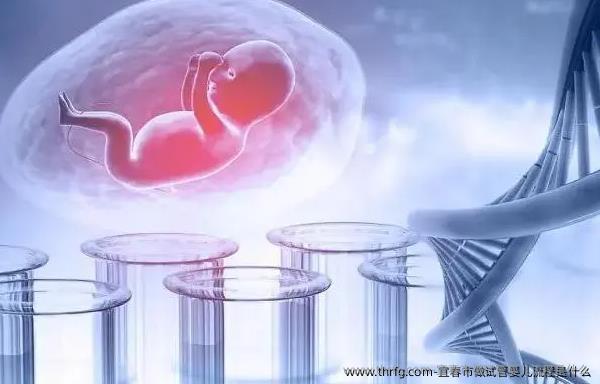 宜春市做试管婴儿流程是什么