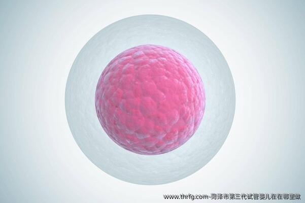 菏泽市第三代试管婴儿在在哪里做