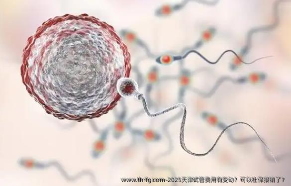 2025天津试管费用有变动？可以社保报销了？