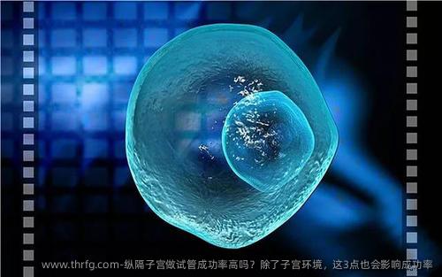 纵隔子宫做试管成功率高吗？除了子宫环境，这3点也会影响成功率