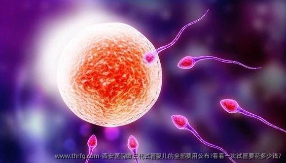 西安医院做三代试管婴儿的全部费用公布?看看一次试管要花多少钱?