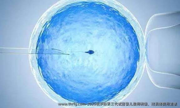 2025俄罗斯第三代试管婴儿费用明细，附具体费用清单
