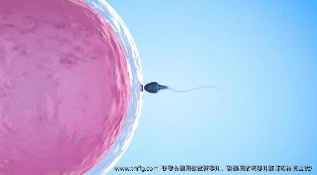 我要去泰国做试管婴儿，到泰国试管婴儿翻译应该怎么找?