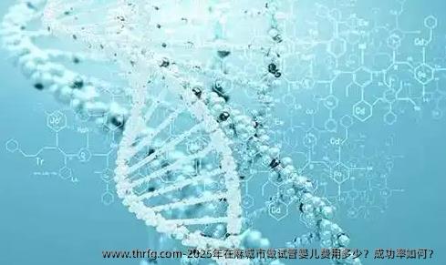 2025年在麻城市做试管婴儿费用多少？成功率如何？