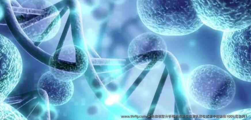 染色体核型分析和断点定位在罗氏易位试管中能确保100%成功吗？