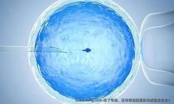 除了年龄，还有哪些因素影响试管成功率？