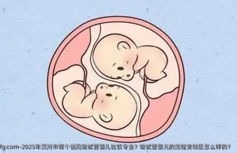 2025年汉川市哪个医院做试管婴儿比较专业？做试管婴儿的流程安排是怎么样的？