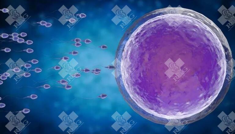 生化妊娠后同房等禁忌？生化妊娠后可以性生活吗？
