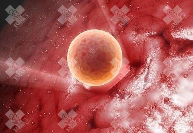 宜昌中心人民医院试管婴儿成功率？宜昌市中心医院做试管婴儿怎么样？