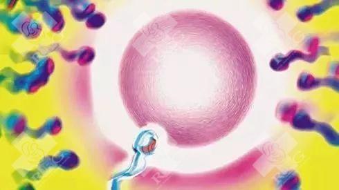 2025三代试管婴儿生孩子的全部费用多少！三代试管有优惠政策吗！