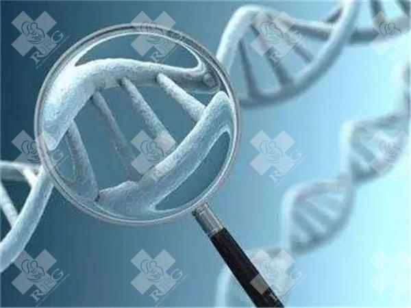 美国做第三代试管婴儿的优势有哪些？适合哪些人？