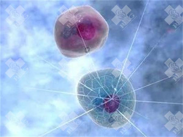 汕头输卵管堵塞试管成功率?3家热门三代试管医院极力推荐