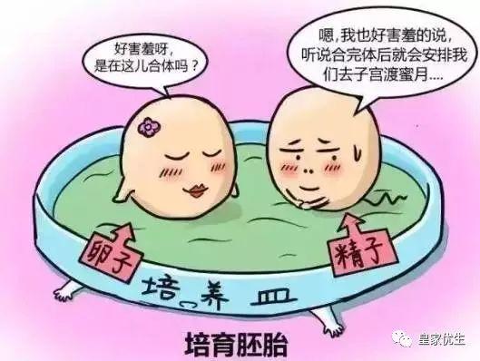 泰国试管婴儿过程疼不疼