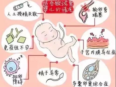 泰国试管婴儿过程疼不疼