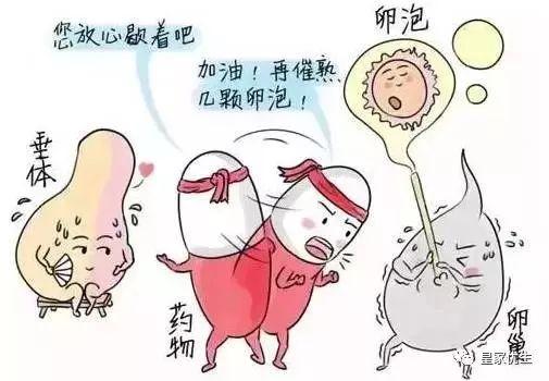 泰国试管婴儿过程疼不疼