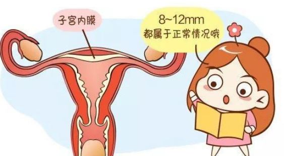 提高泰国试管婴儿胚胎着床率，保养子宫内膜势在必行！