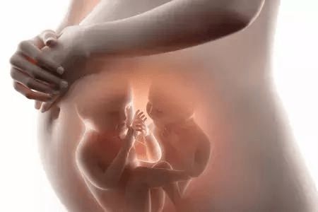 做试管婴儿，胚胎移植时该如何选择冻胚、鲜胚、囊胚？